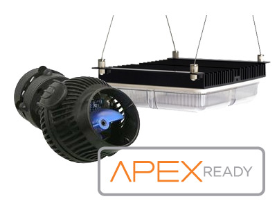 image-628514-apex-ready-composite.jpg