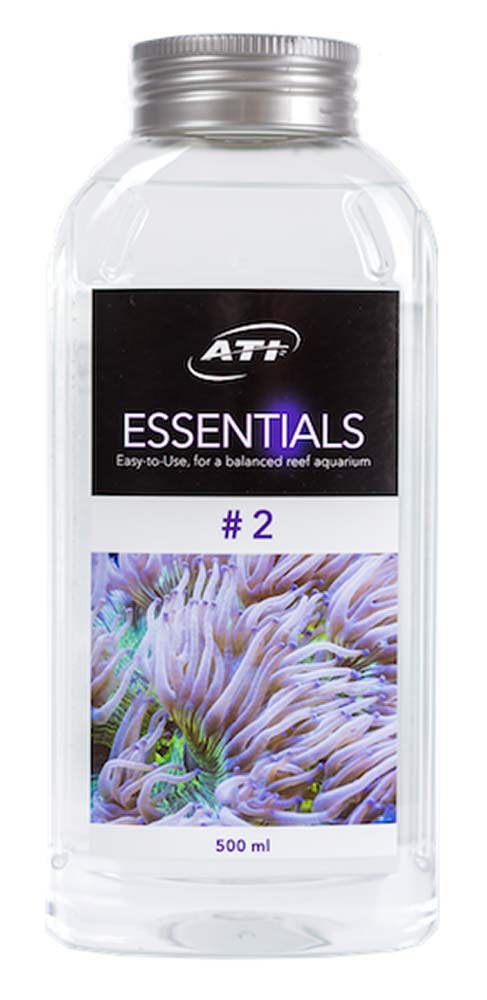 image-ATI-Essentials-2-.jpg