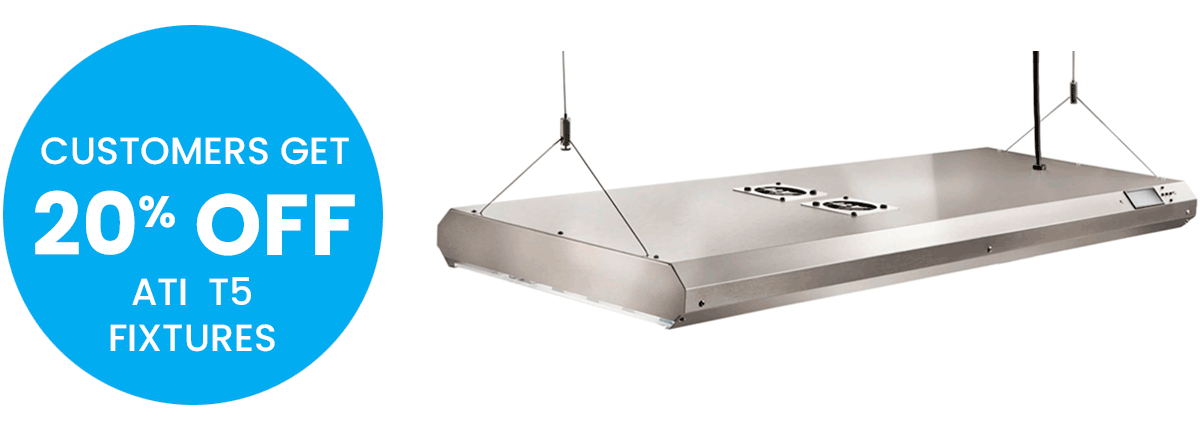 image-921670-ATI_Sping_Special_SunPower-6512b.png